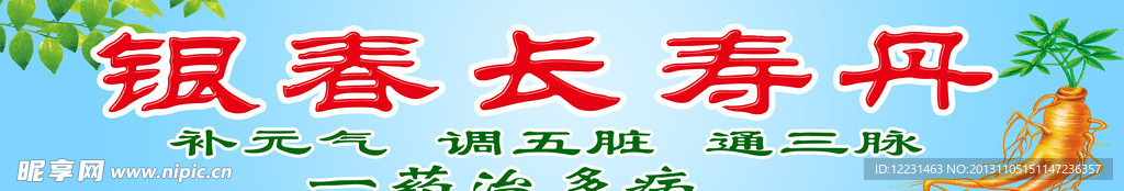 银杏长寿丹