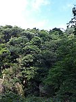 黄山摄影