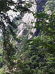 黄山近景