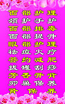 美容宣传