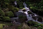 自然风光背景视频素材