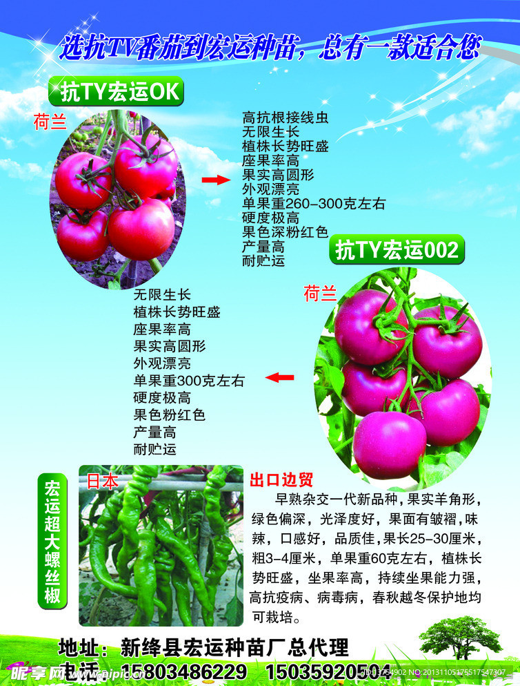 番茄2号
