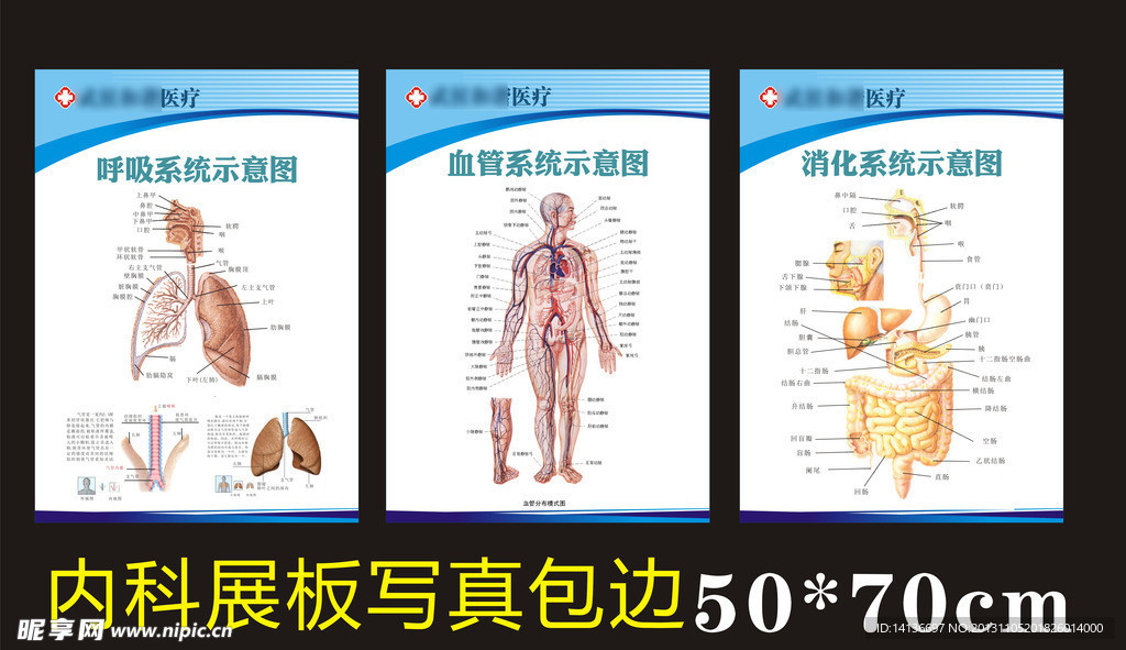 展板3个