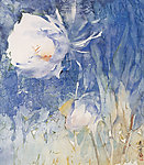 花卉水彩画