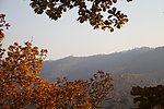 远山红叶
