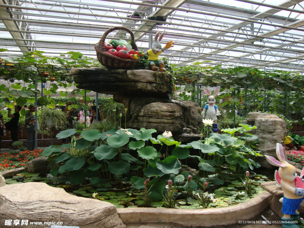 莲花池