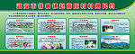 村规民约