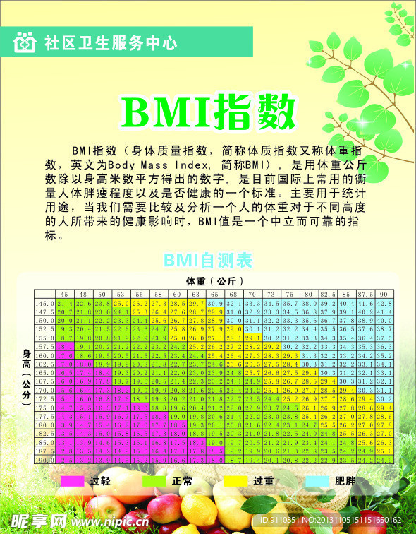 bmi指数