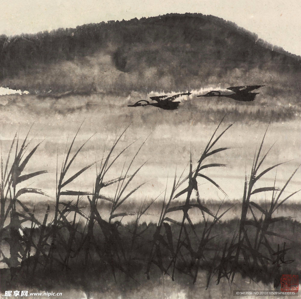 野鹅