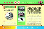 传统美德