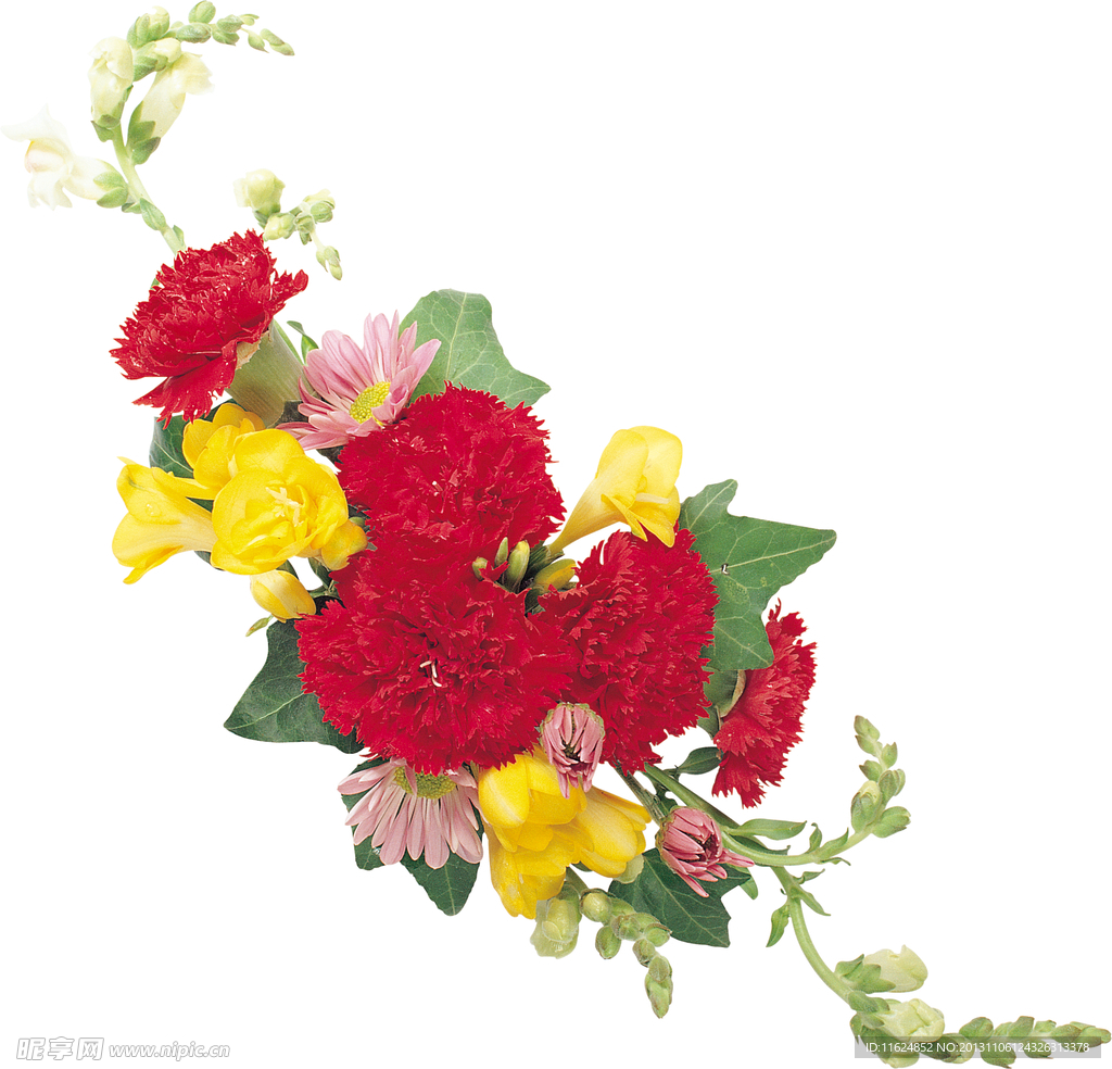 装饰花卉