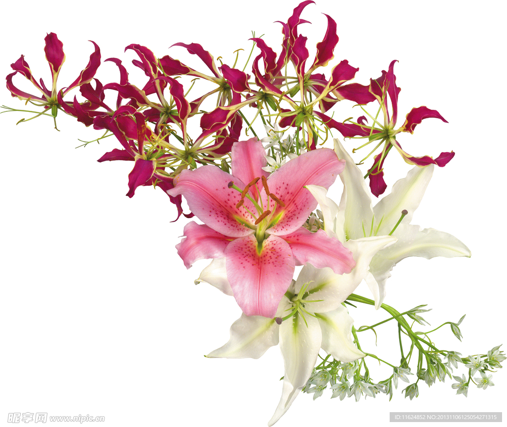 装饰花卉
