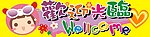 欢迎光临