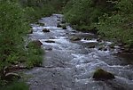 小溪流水视频素材