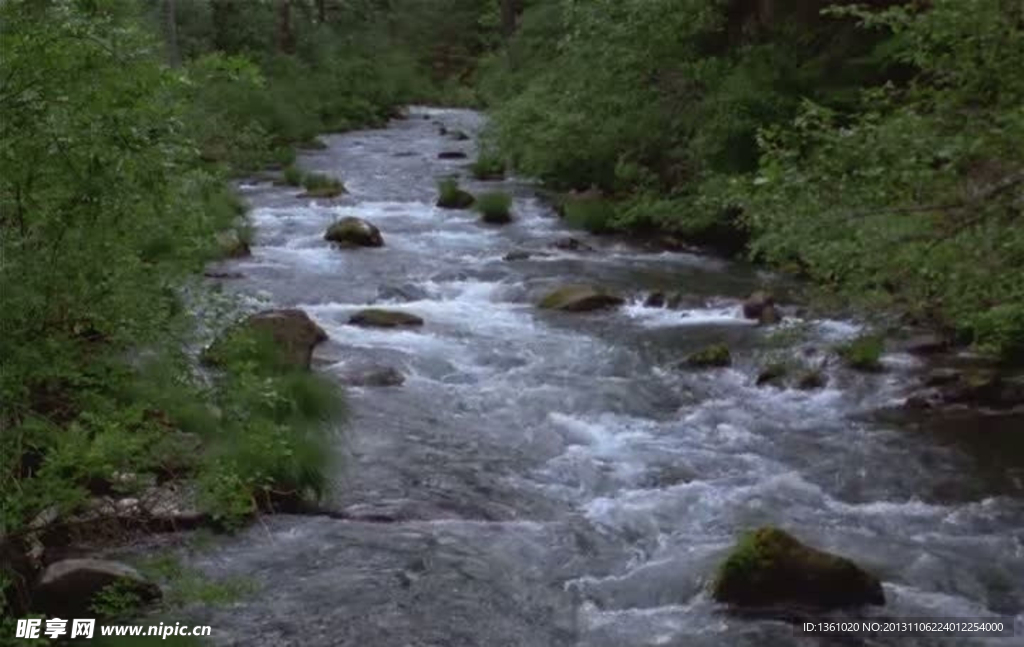 小溪流水视频素材