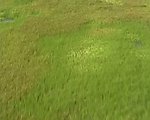 草原草地视频素材