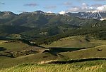 高山森林视频素材