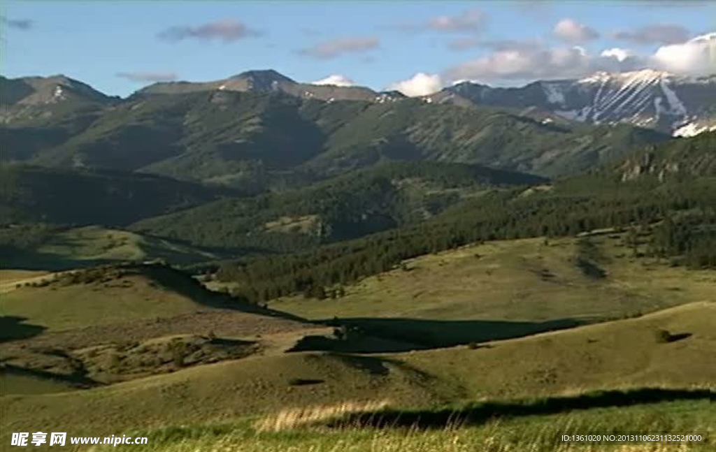 高山森林视频素材