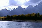 高山流水森林视频素材