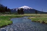 高山流水森林视频素材