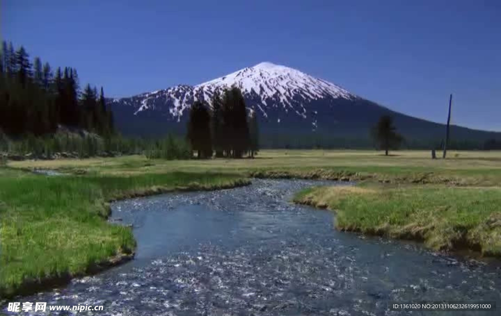 高山流水森林视频素材