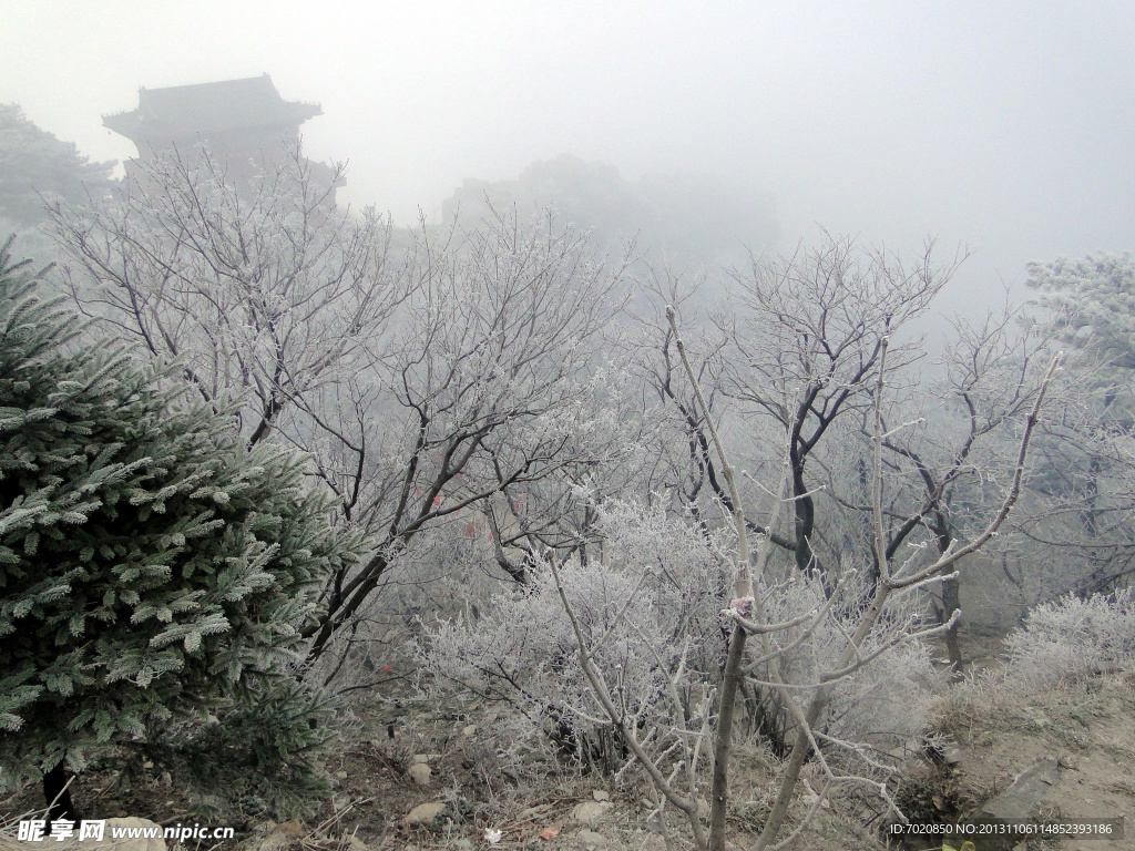 泰山雪景