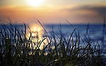 夕阳