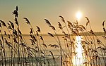 夕阳