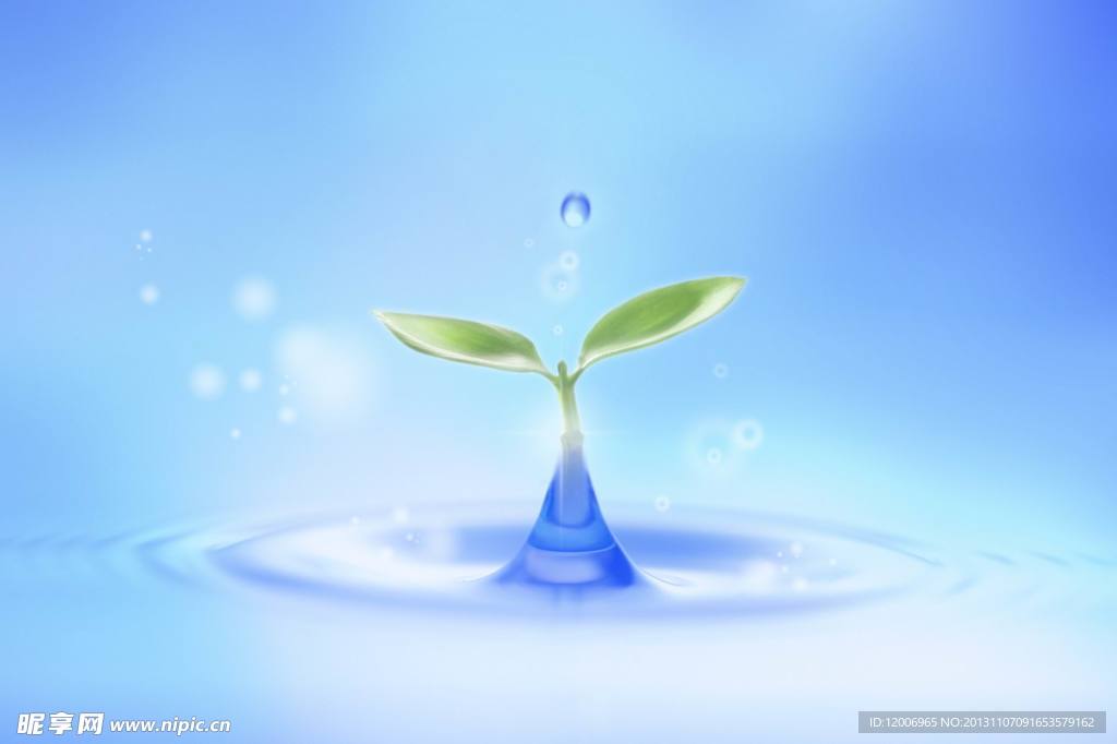 水珠 树叶