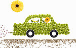 汽车 花