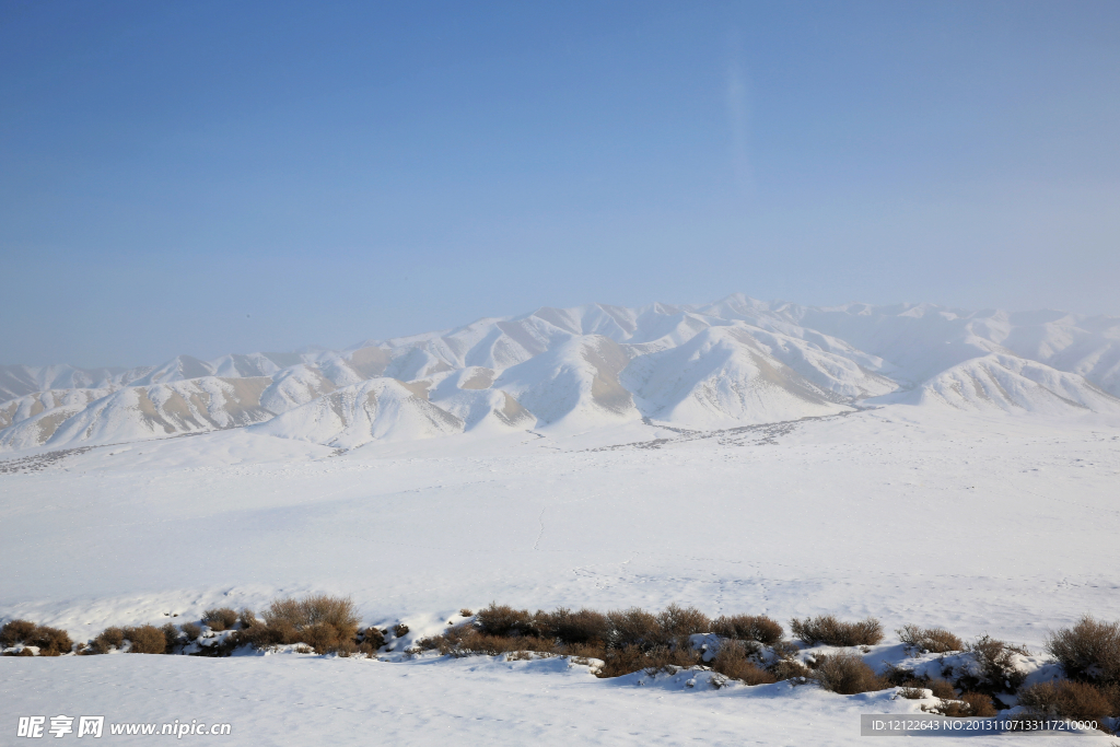 雪原