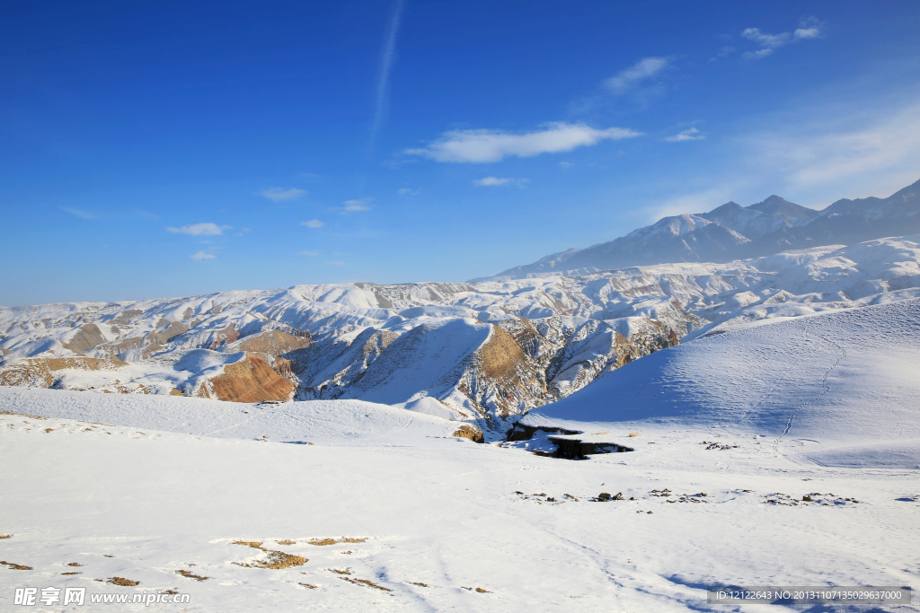 冬雪