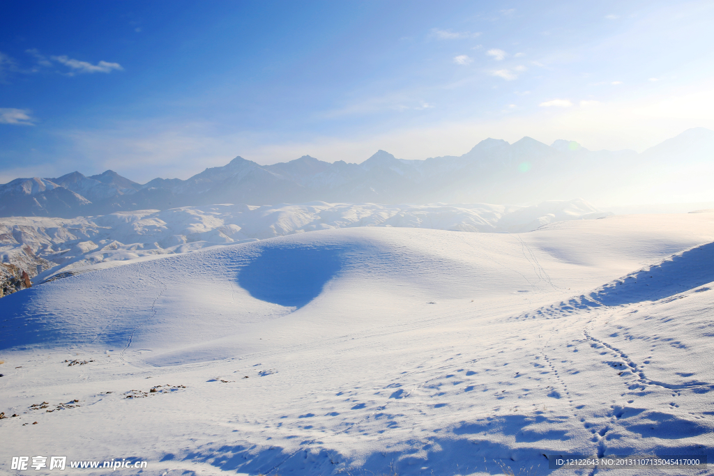 雪中景