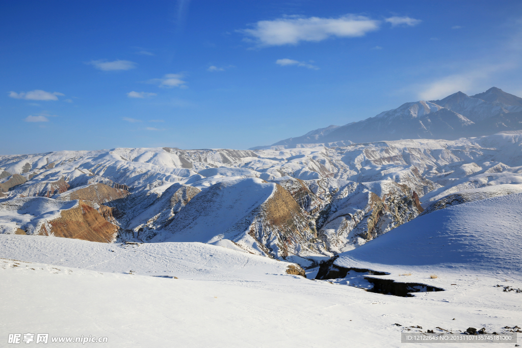 雪中景