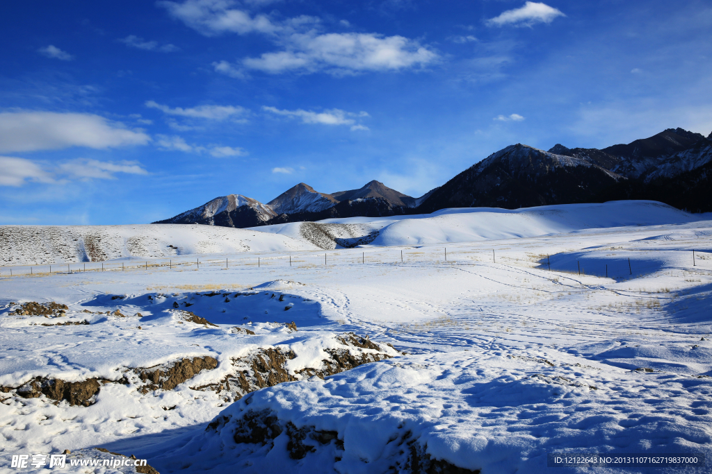 雪原