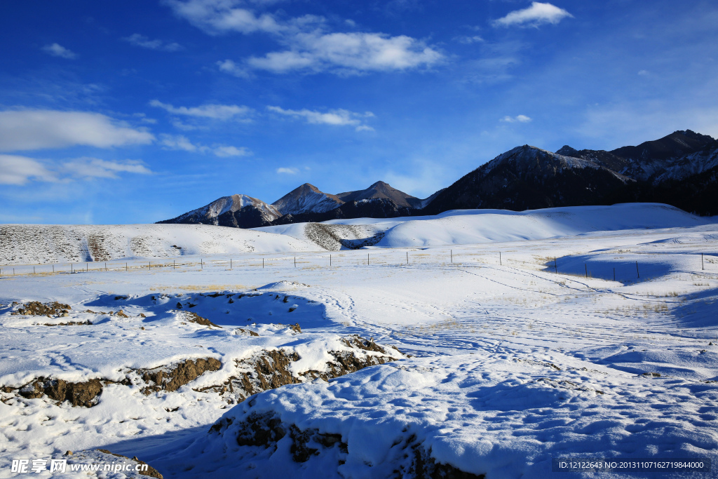 雪原