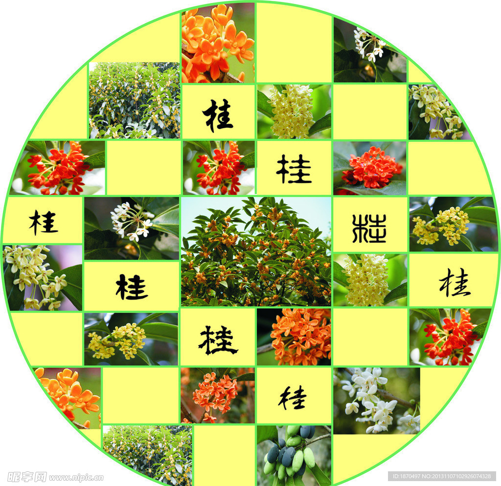 桂花背景图