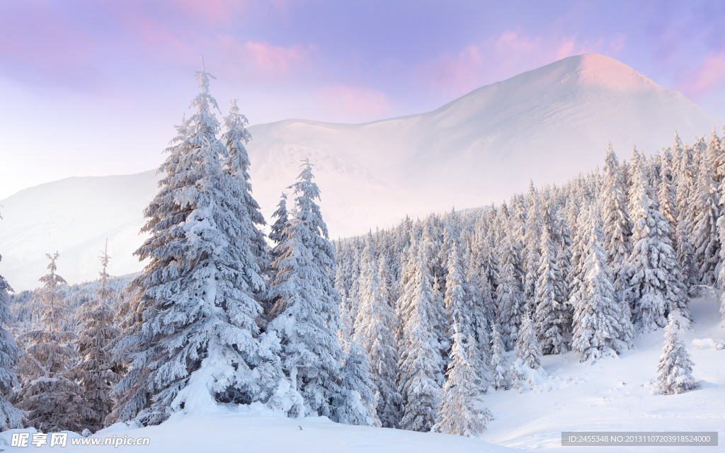 雪景