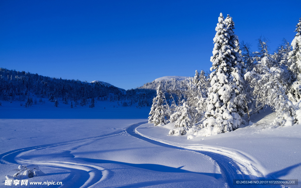 雪景