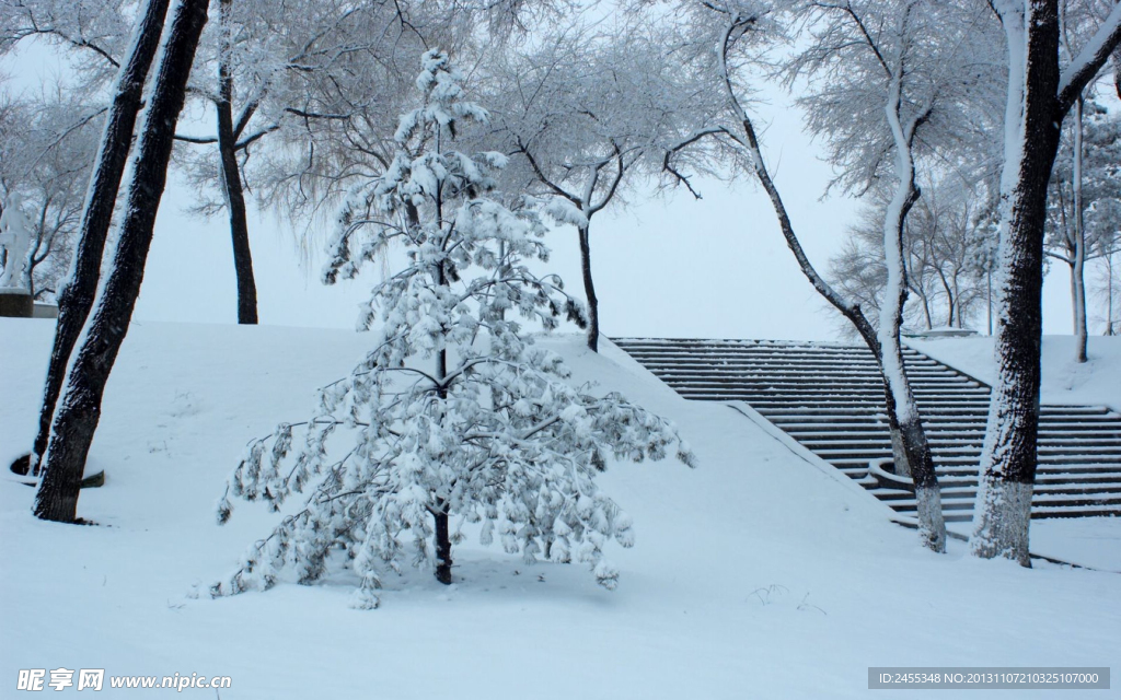 雪景