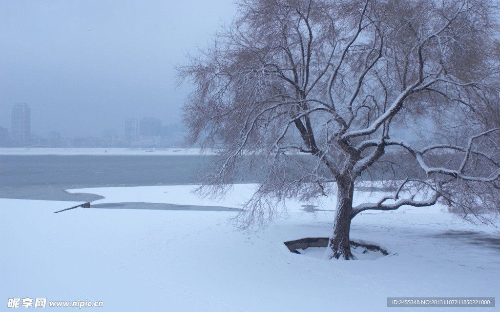 雪景