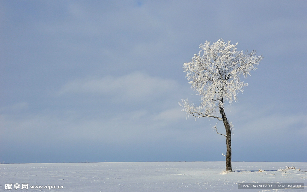 雪景