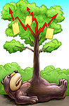 熊肚子长树
