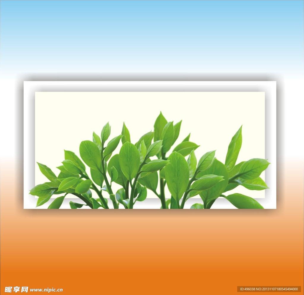 绿叶