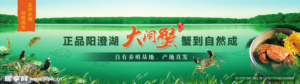 大闸蟹BANNER