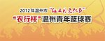 青年篮球赛