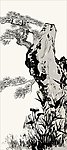 适量花草