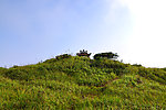 大丰山 寺庙 道观