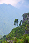 大丰山 寺庙 道观