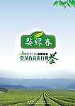 茶叶海报